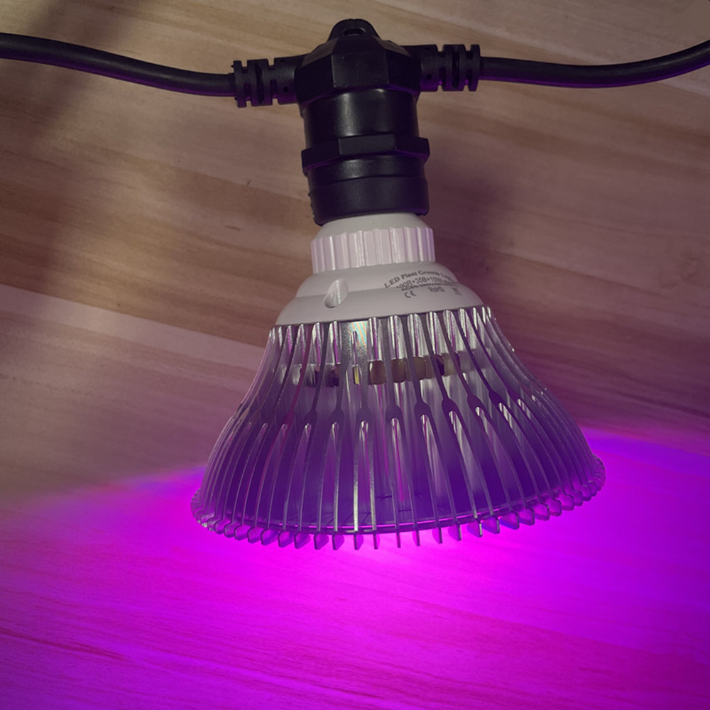 10M Cable LED String Commercia - Outdoor Lighting Wedding Decor review and price
